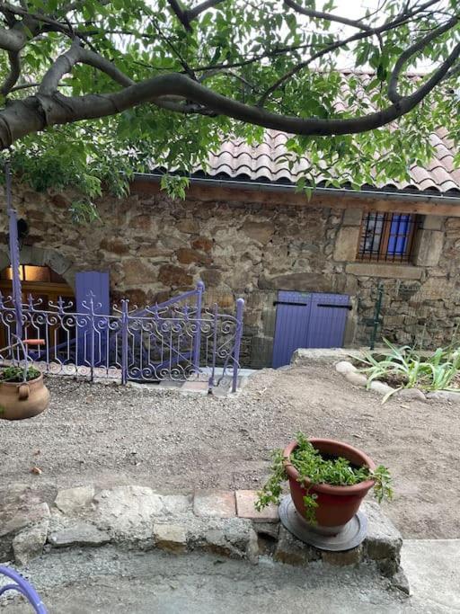 Maison De Village Le Bacci Appartement